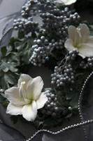 DECO NCNtg Bon Rose